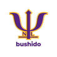 bushido - steam id 76561198002016224