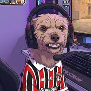 Player avatar
