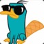 Perry the Platypus