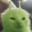 Glorp Zibnus WiFi