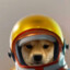 Sparky