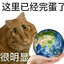那我问你