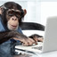 SteveChimpanzee
