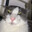 Soggy Cat