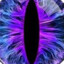 ƒLoρρa_βøøρρa