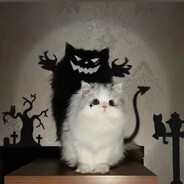 今日何事最相宜