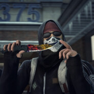 Ochroniarz “skins.army”