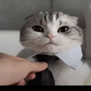 lizard ʷʰʸ𝖊𝖌𝖔