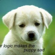 ®Nεxt"»hypε²,- plexio™