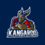 KangarooS