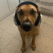 AntonioLobato?!?!?!?