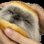 IcyTv