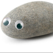 I&#039;ve.Got.a.Pet.Rock