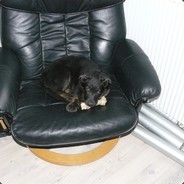 GhostDK - steam id 76561197962547781