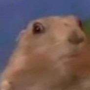 ^_^ɥoɯ͢͢͢ʎɐʞ™