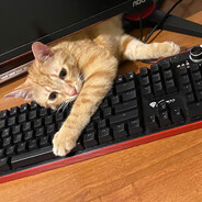 dżejsik Steam avatar