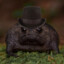 twitch
