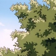 包勒个包勒个包