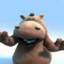 Hippo is real