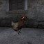 LV [PL]