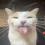 Y7llow