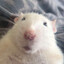Kami
