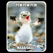 Ballistic Chicken - steam id 76561197971085414