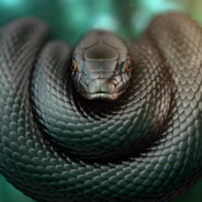 mamba24 - steam id 76561199108322330