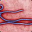 Эбола