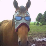 Aato :):):):::))))==)==)=:D - steam id 76561197960474015