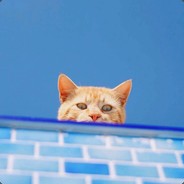 熊猫人为何不开口