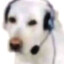 moonwave808