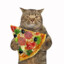 pizza cat