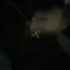 packet