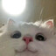 Shicchi