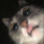 Doge_143