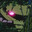 LetraRixxy's Avatar