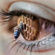 _robot_Verter_svoboden_