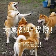 一颗肉丸子zwz