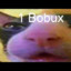 bobux