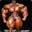 Mr.Muscle