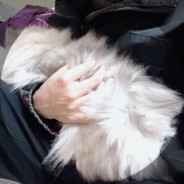 美丽漂亮大方的弹弹