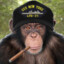 USS Chimp