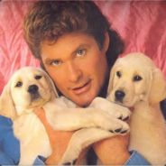 UberHasselhoff - steam id 76561197961866279