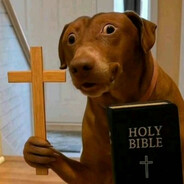 HolyDoggo