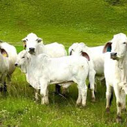 eronitsejdiu0 - steam id 76561199471003161