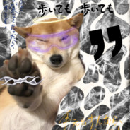 FSD已订阅