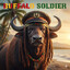 BUFFALO SOLDIER