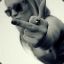 amayzer