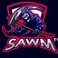SAWM-